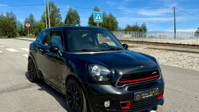 Mini Paceman